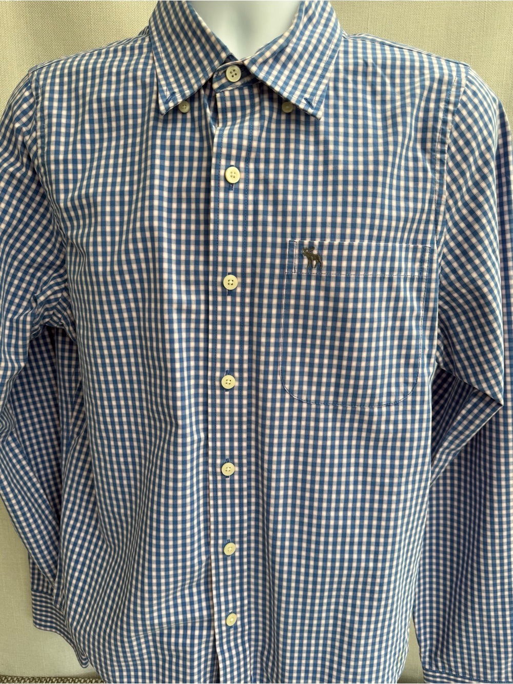 Abercrombie & Fitch Blue and White Gingham Button-Down Shirt